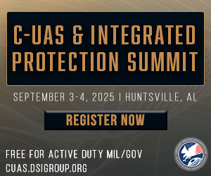 Defense Strategies Institute